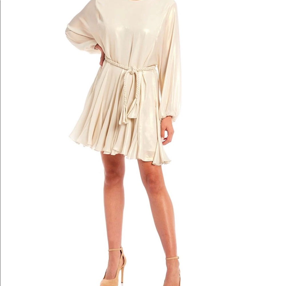 Riley Liquid Lame Belted Crew Neck Long Sleeve Braided Belt Swing Dress